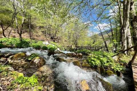 Kotor: Durmitor, Lago Negro y Excursión al Puente de Tara de DjurdjevicaVisita compartida