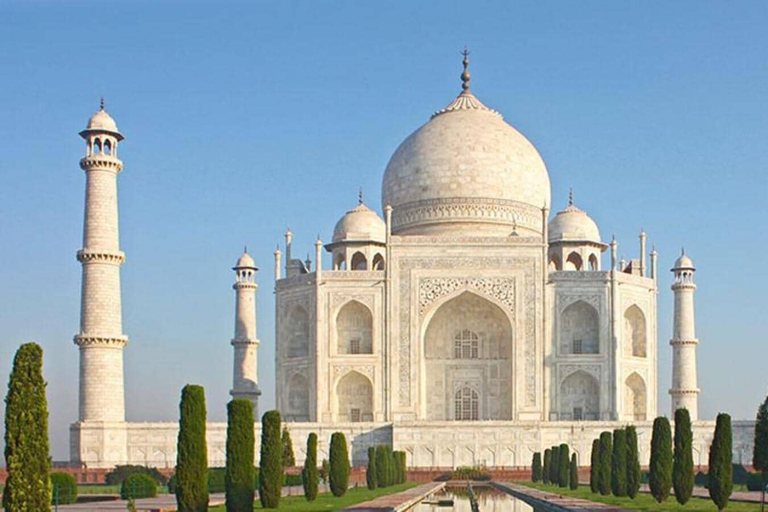 Från Delhi: Hoppa över kön Taj Mahal och Agra Fort dagsutflyktRundresa med bil, chaufför, lunch, guide och entréer till monument