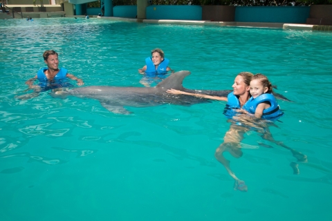 Nado con delfines Paseo - Acuario InteractivoPaseo - Acuario interactivo