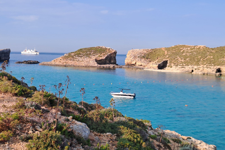FULL DAY - 7hours Comino, Blue Lagoon, charter, boat, cruise