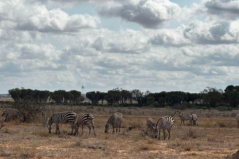 Mombasa/Diani: 2-Day Tsavo East Safari with Meals Private day tour to Tsavo East National Park - VAN