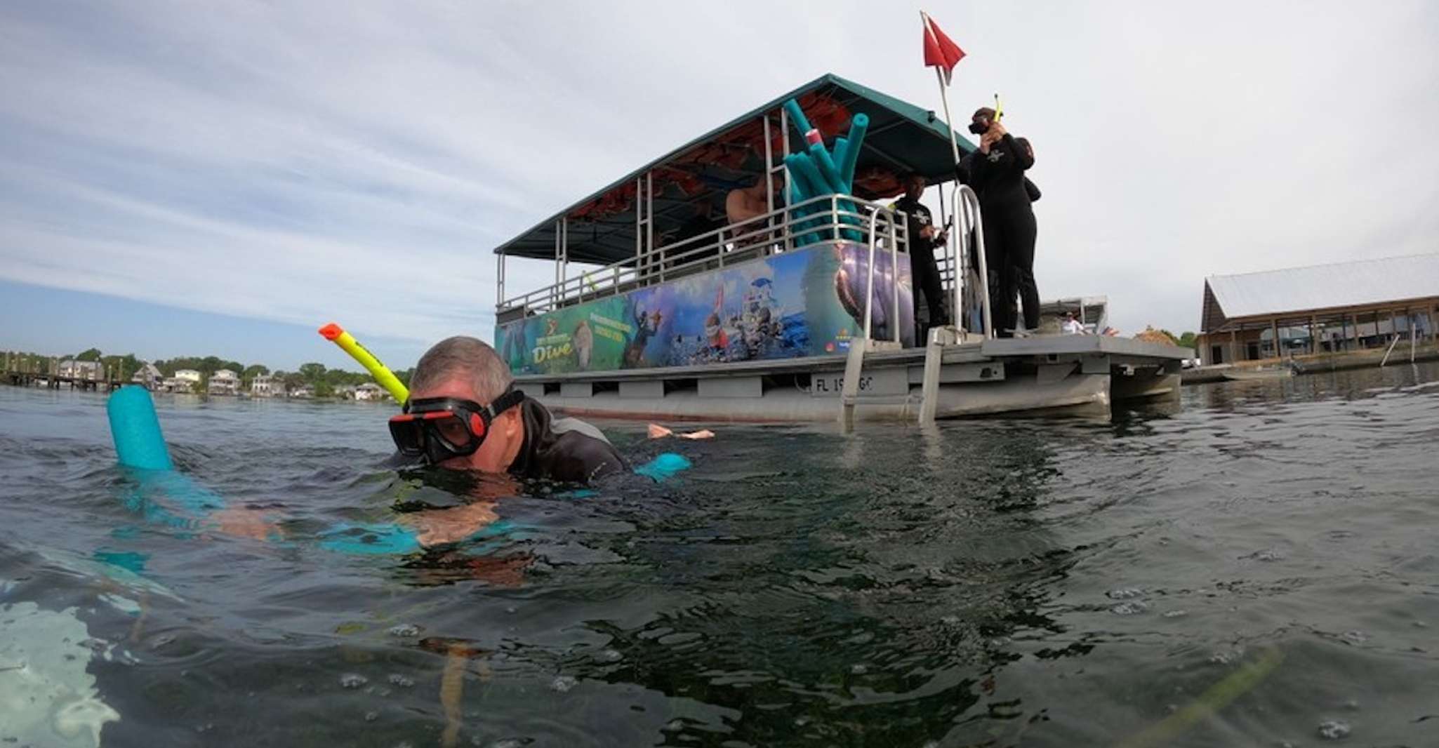 Orlando, Swim with Manatees and Homosassa State Park Visit - SuiteTrails