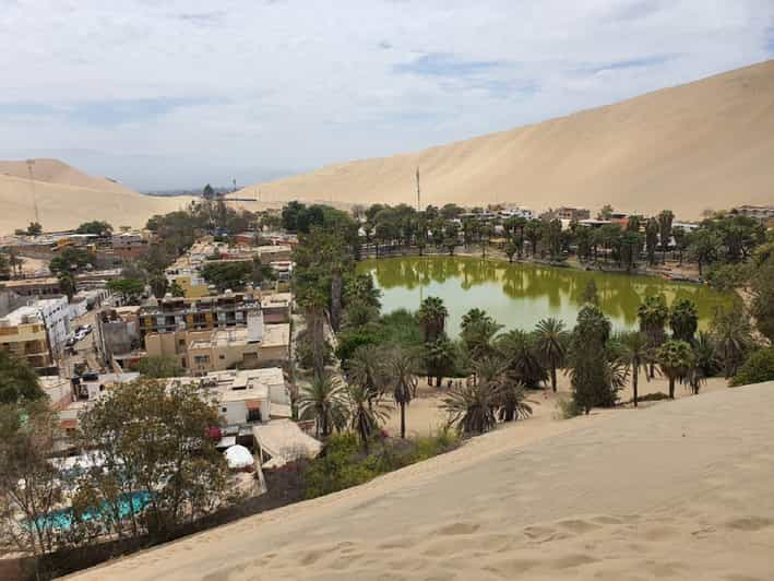 Excursión de un día a Paracas y el Oasis de la Huacachina desde Lima