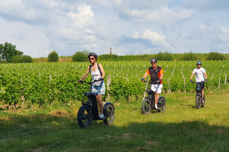 Burdeos : Circuito de trote + degustación de vinos del Castillo de la Louvière