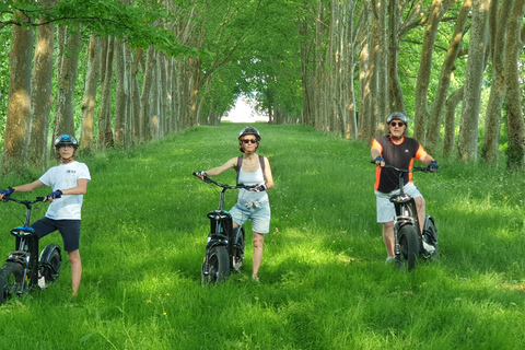 Burdeos : Circuito de trote + degustación de vinos del Castillo de la Louvière