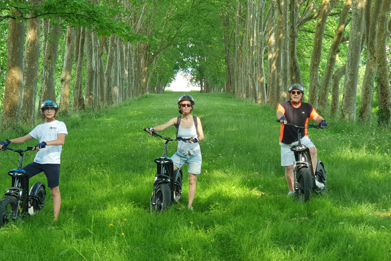 Burdeos : Circuito de trote + degustación de vinos del Castillo de la Louvière