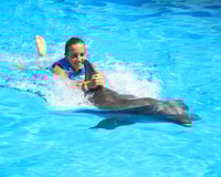 Swim with dolphins Ride - Interactive Aquarium Cancun - Housity