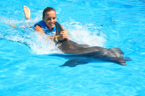 Schwimmen mit Delfinen - Interaktives AquariumRide - Interaktives Aquarium