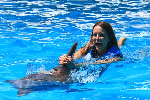 Nado con delfines Paseo - Acuario Interactivo Cancún