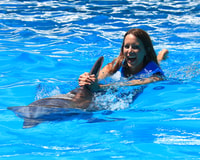 Swim with dolphins Ride - Interactive Aquarium Cancun - Housity