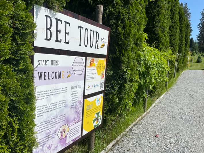 Okanagan Bee Tour, Wine Tasting and Lunch at Kelowna Winery GetYourGuide