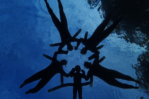 Crystal River: Manatee Swim Group Tour