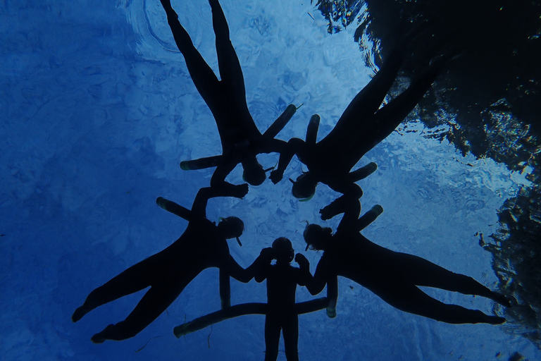 Crystal River: Manatee Swim Group Tour