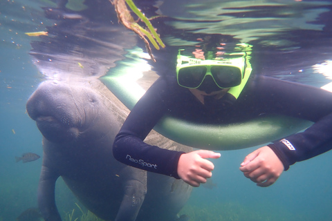 Crystal River: Manatee Swim Group Tour