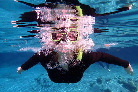 Crystal River: Manatee Swim Group Tour