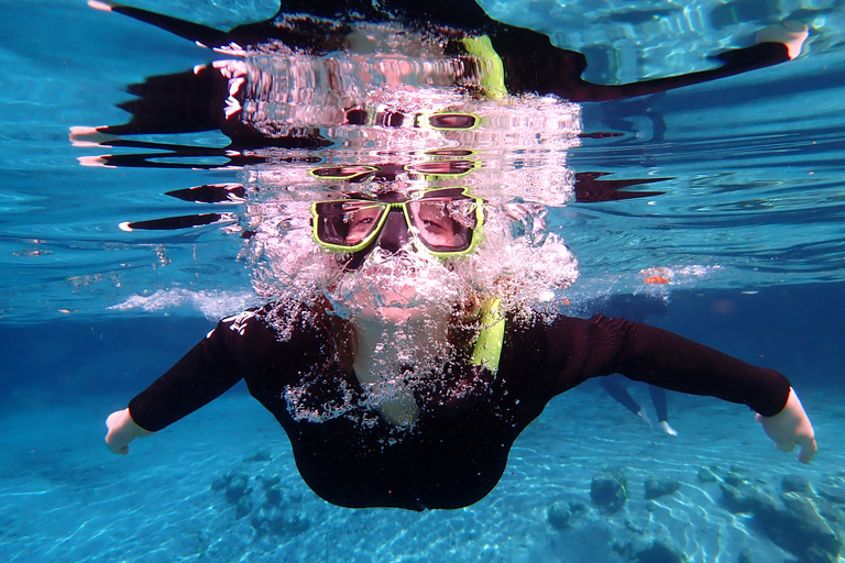 Crystal River: Manatee Swim Group Tour