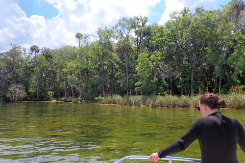 Crystal River: Manatee Swim Group Tour