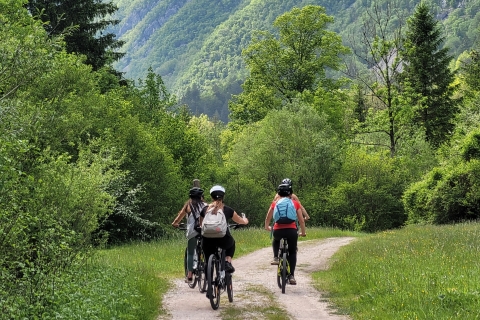 E-biketocht naar de Grote Soča kloof & Šunik waterbosE-bike-tour naar de Grote Soča-kloof en het Šunik-waterbos