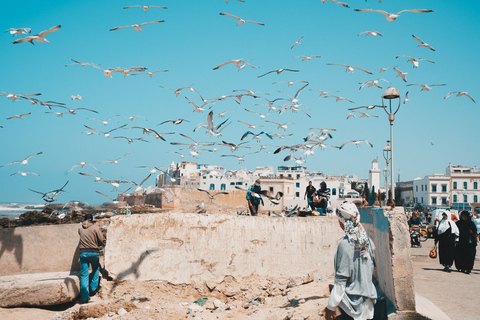 Marrakech: Essaouira heldagsutflyktEssaouira: Heldagsutflykt från Marrakech med transport