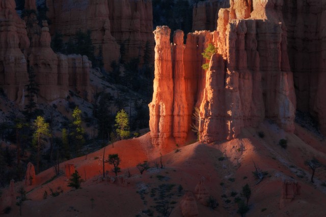 Visit Utah Photography Tours in Bryce Canyon National Park, Utah