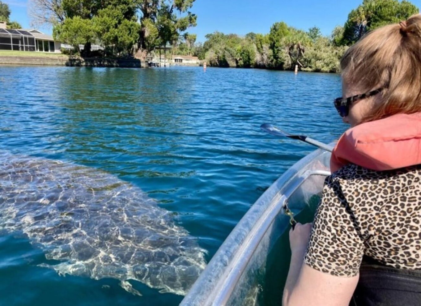 Crystal River: VIP Clear Kayak Manatee Ecotour