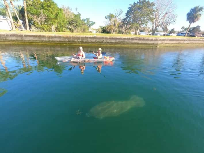 Crystal River Manatee Kayak Tour