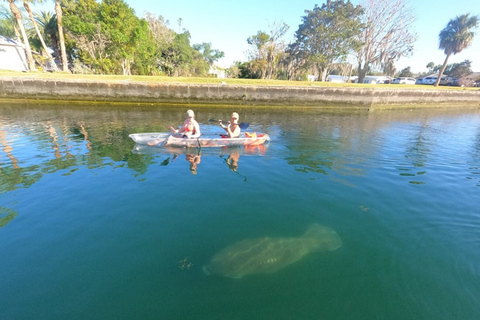 Crystal River: Öko-Tour durch die Three Sisters Springs mit dem durchsichtigen KajakCrystal River: VIP Clear Kayak Springs und Manatee Ecotour