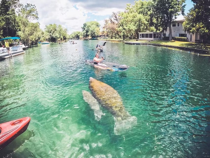 Crystal River, Clear Kayak Manatee Ecotour - SuiteTrails