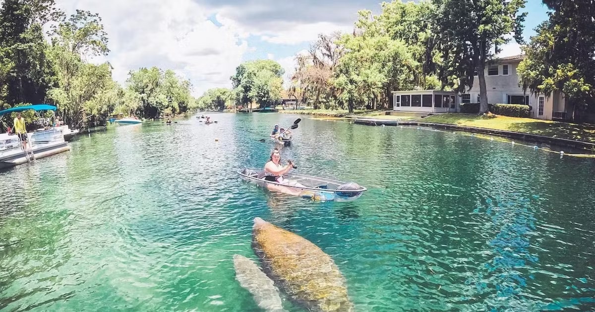 Crystal River: Clear Kayak Manatee Ecotour | GetYourGuide