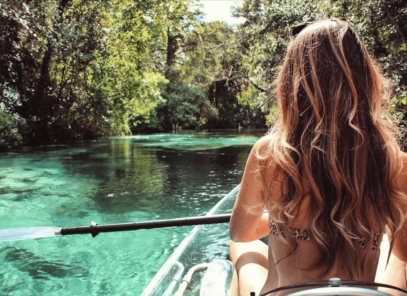 Crystal River: VIP Clear Kayak Manatee Ecotour