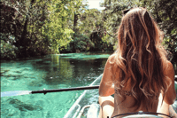 Crystal River, Clear Kayak Manatee Ecotour - Housity