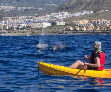 Tenerife: Kajaksafari en snorkelen in zeeschildpadden met foto's