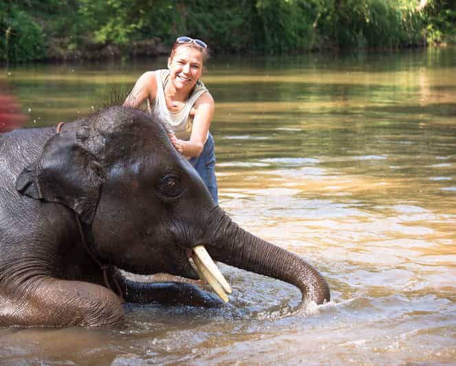 Chitwan Jungle safari tour with canoe ride in forest river GetYourGuide