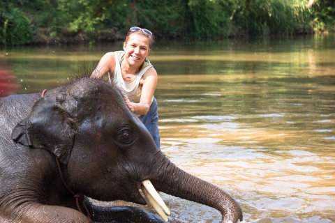Safari w dżungli Chitwan z kąpielą słoni (ekskluzywna wycieczka)