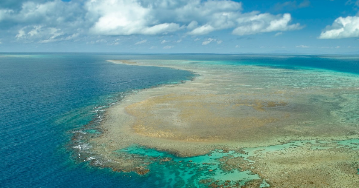 Port Douglas ABC Snorkel Charters Outer Reef Seulement 12 personnes