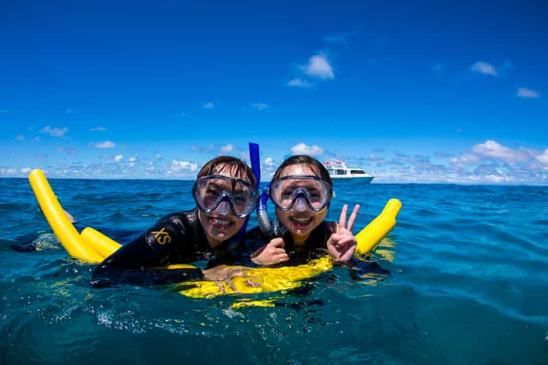 Port Douglas: ABC Snorkel Charters Outer Reef Just 12 Guests | GetYourGuide