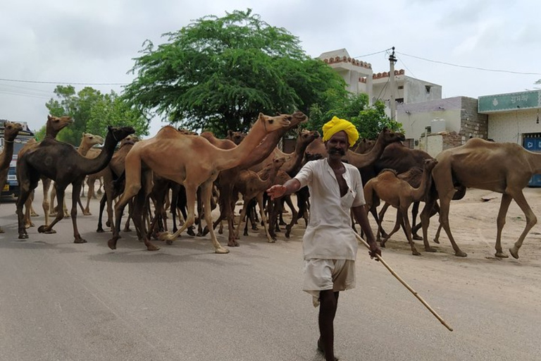 prywatny transfer z jodhpur do jaisalmer ze świątynią osian