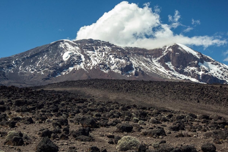 Schilderachtige dagtocht in de buurt van de Kilimanjaro
