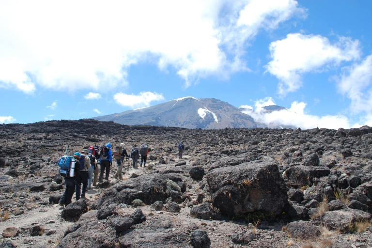 Schilderachtige dagtocht in de buurt van de Kilimanjaro