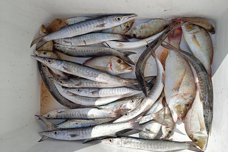 Dubai: Fishing trip private (deep sea) 4 hours &amp; BBQ