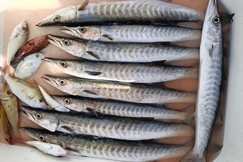 Dubai: Pesca en alta mar 4 horas de aventura