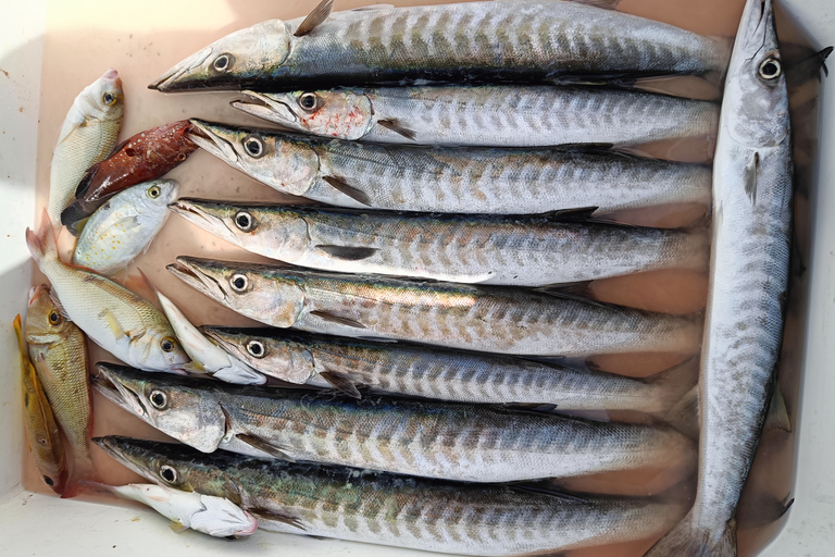 Dubaï : Pêche en haute mer 4 heures d'aventure