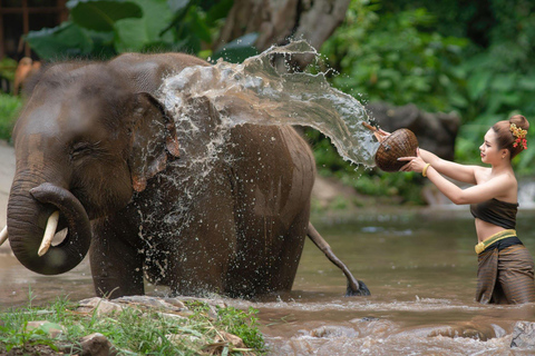 luksusowe safari w dżungli Chitwan 4 dni