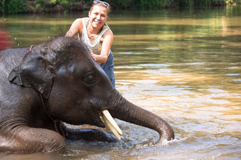 safari de luxe dans la jungle de Chitwan (4 jours)