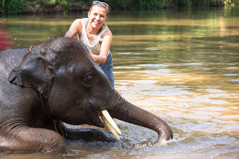 safari de luxe dans la jungle de Chitwan (4 jours)