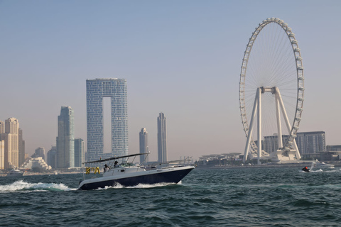 Dubai: Fisketur privat (djuphav) 4 timmar &amp; BBQ