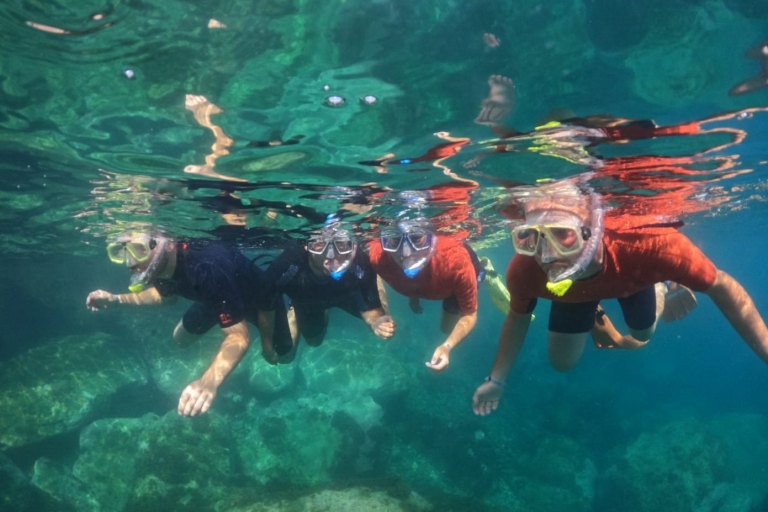 Puerto de Mogan: Wycieczka z nurkowaniem z łodzią po zachodnim wybrzeżuGran Canaria: Snorkeling z łodzią na zachodnim wybrzeżu