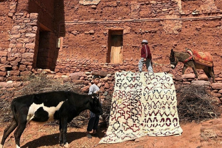 Marrakesz: Wycieczka jednodniowa Zip Line z Berber Villagez Marrakeszu do Terres d'Amanar tyrolką
