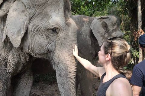 Tour per piccoli gruppi nella foresta degli elefanti di Siem Reap Kulen