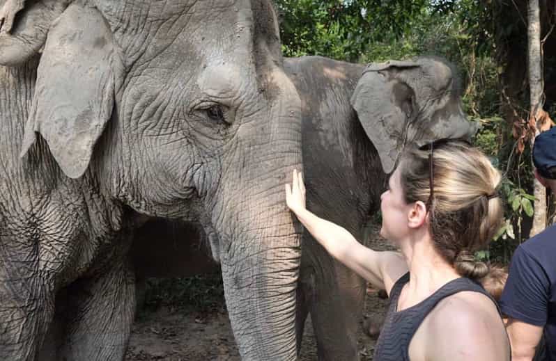 Siem Reap: Small Group Tour of Kulen Elephant Forest